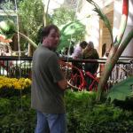 Las Vegas 003