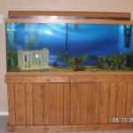 120 g tank setup 001